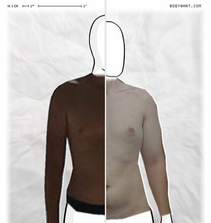 Torso Comparison