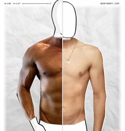 Torso Comparison