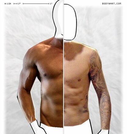 Torso Comparison