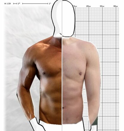 Torso Comparison