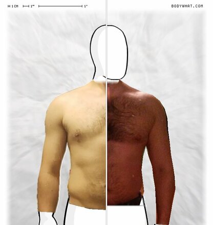 Torso Comparison