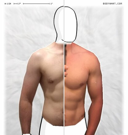 Torso Comparison