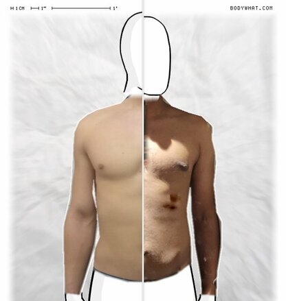 Torso Comparison
