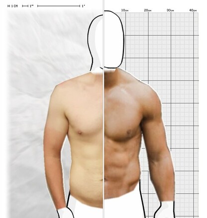 Torso Comparison