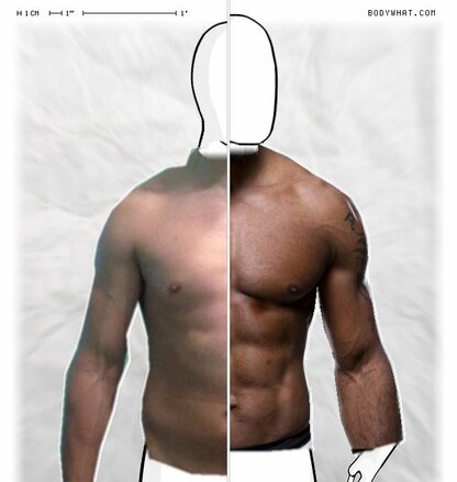 Torso Comparison