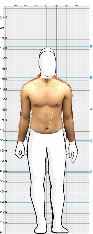 Full Size Comparison