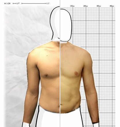 Torso Comparison