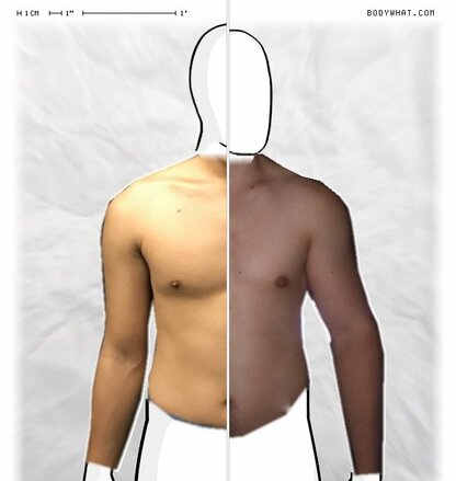Torso Comparison