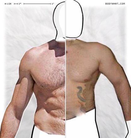 Torso Comparison