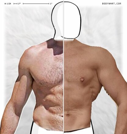 Torso Comparison