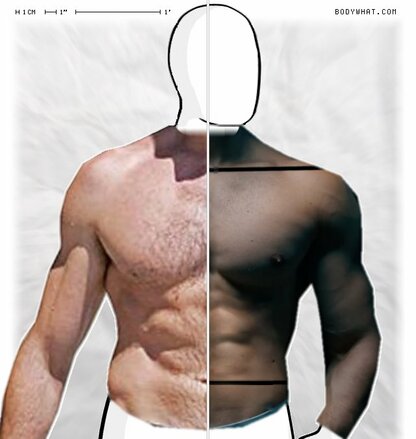 Torso Comparison