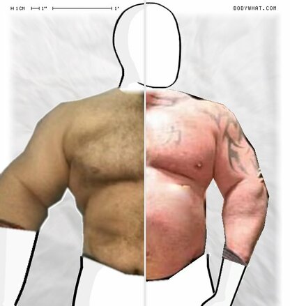 Torso Comparison
