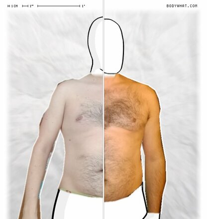 Torso Comparison