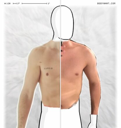 Torso Comparison