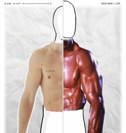 Torso Comparison