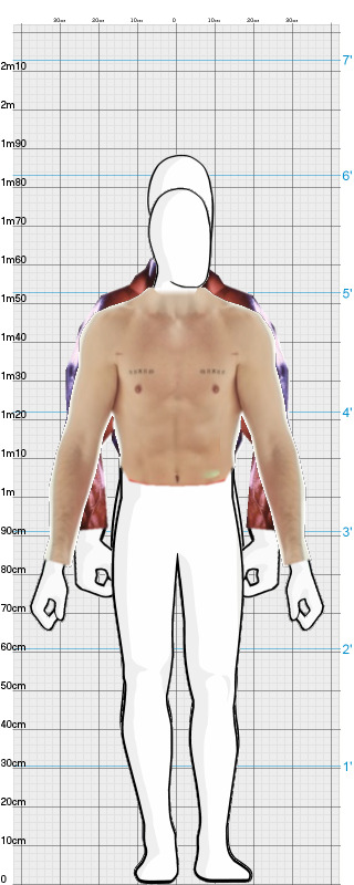Full Size Comparison