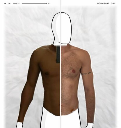 Torso Comparison