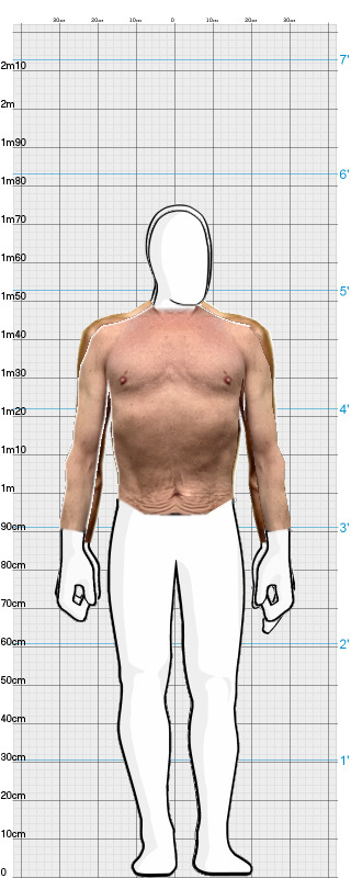 Full Size Comparison
