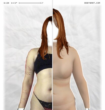 Torso Comparison