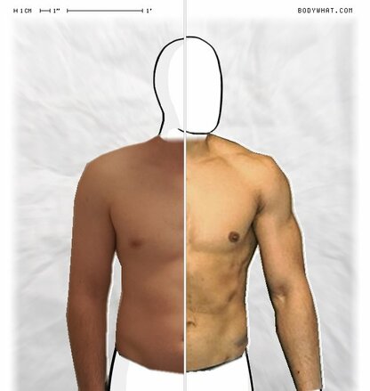 Torso Comparison