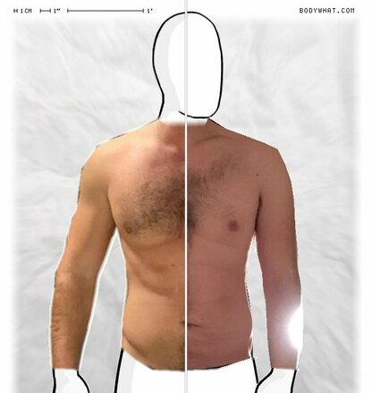 Torso Comparison