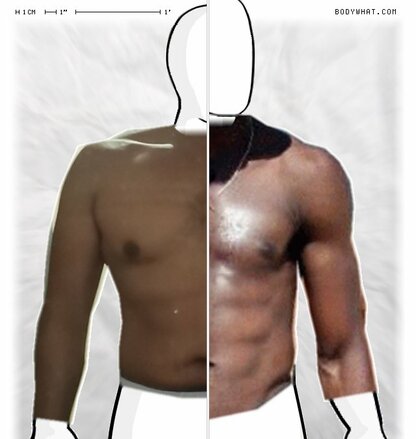 Torso Comparison