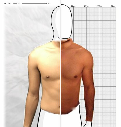 Torso Comparison