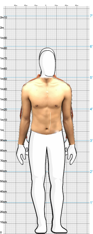 Full Size Comparison