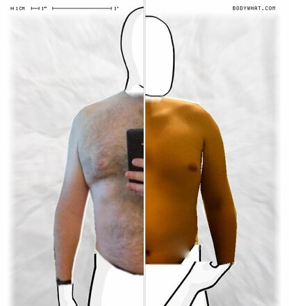 Torso Comparison