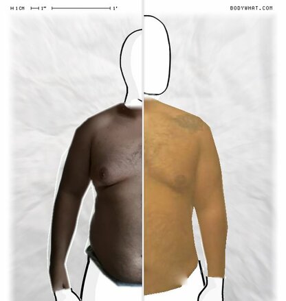 Torso Comparison