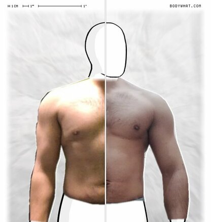 Torso Comparison