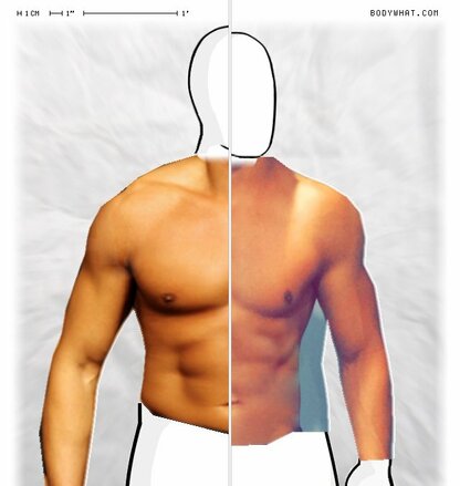 Torso Comparison