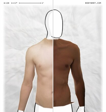 Torso Comparison