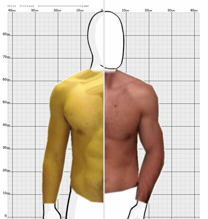 Torso Comparison