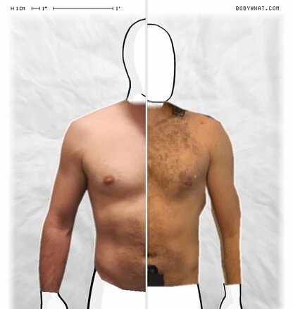 Torso Comparison