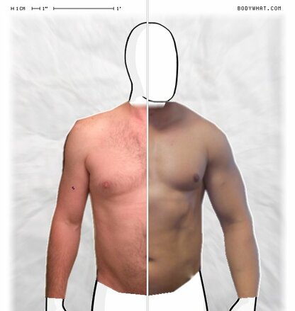 Torso Comparison