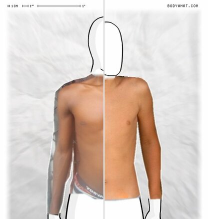 Torso Comparison