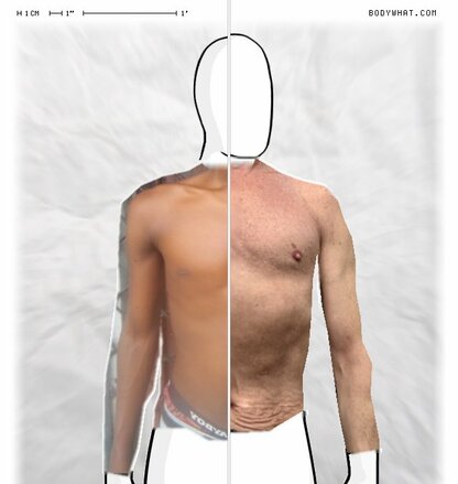 Torso Comparison
