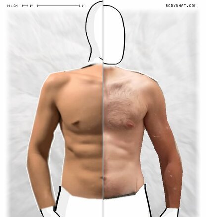 Torso Comparison