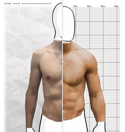 Torso Comparison