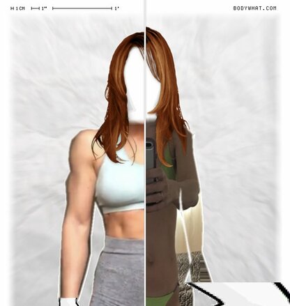 Torso Comparison