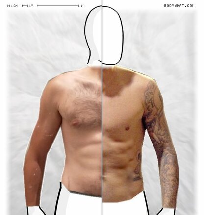 Torso Comparison