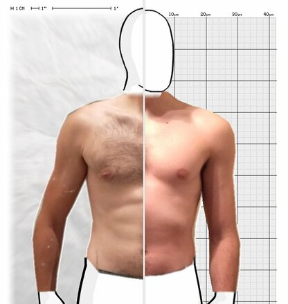 Torso Comparison