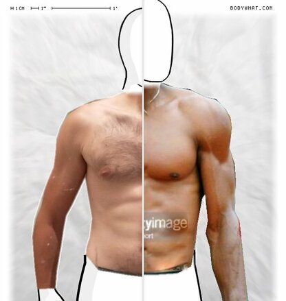 Torso Comparison