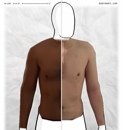 Torso Comparison