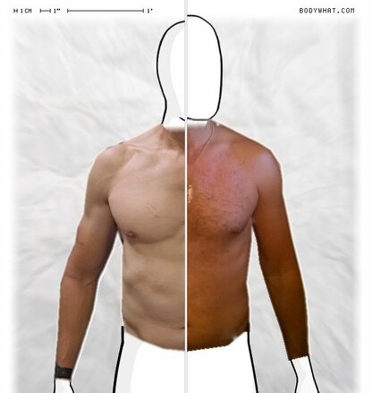 Torso Comparison
