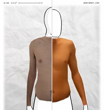 Torso Comparison