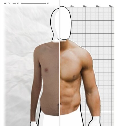 Torso Comparison