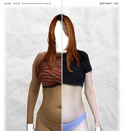 Torso Comparison