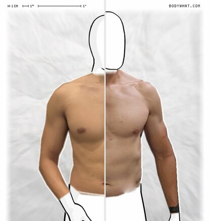 Torso Comparison